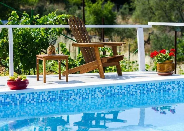 Andante * טרוגיר