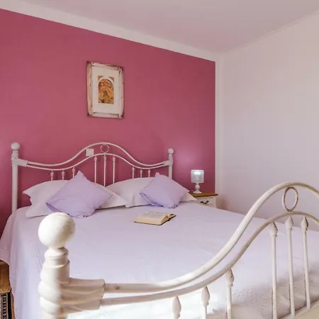 Andante 트로기르